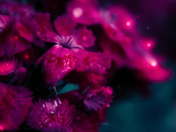 Chapter 4 –&nbsp;Incarcerated