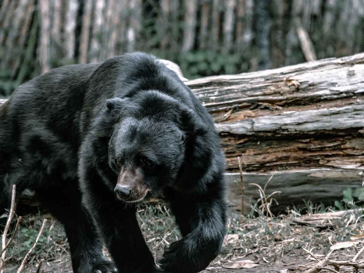 Chapter 2 – The&nbsp;Proposal