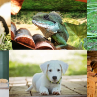 You’re Never Alone