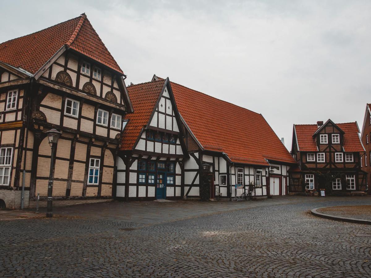 Miss Knight Book 2 – Chapter 14: Healing in&nbsp;Warchester